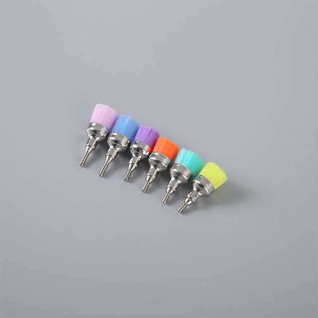 Clínica dental atornillada cómoda cepillo de prophy